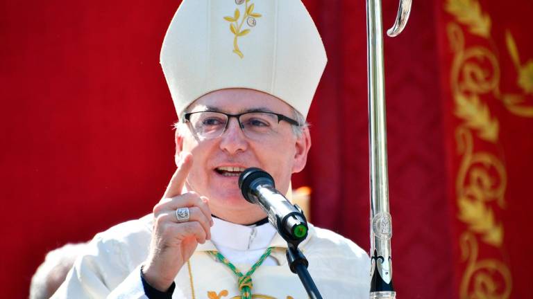 La Diócesis de Jaén se une a la Jornada por la Paz convocada por el Papa León XIV