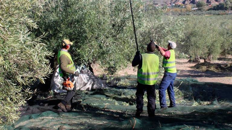 Solo dos albergues para temporeros están abiertos en la provincia