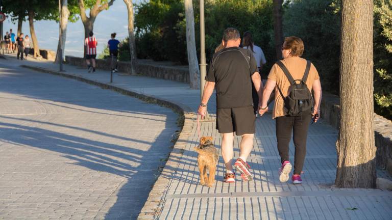 Jaén sin muertes ni hospitalizaciones