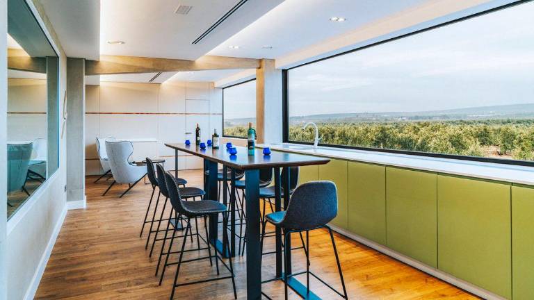 ¿Tiene una empresa oleoturística en Jaén? Esto le interesa