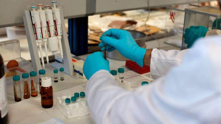 <i>Un investigador en el laboratorio del Instituto de Investigación en Arqueología Ibérica. / Universidad de Jaén. </i>