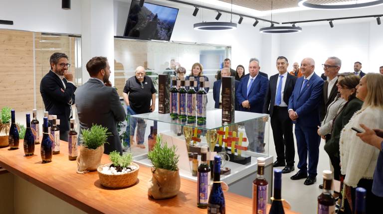Picualia presenta su Aove Primer Día de Cosecha: Un homenaje a la riqueza natural del olivar