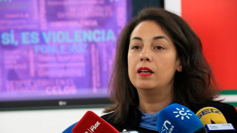 El PSOE acusa a Moreno de acumular más de dos años en el pago de ayudas para placas solares o vehículos eléctricos