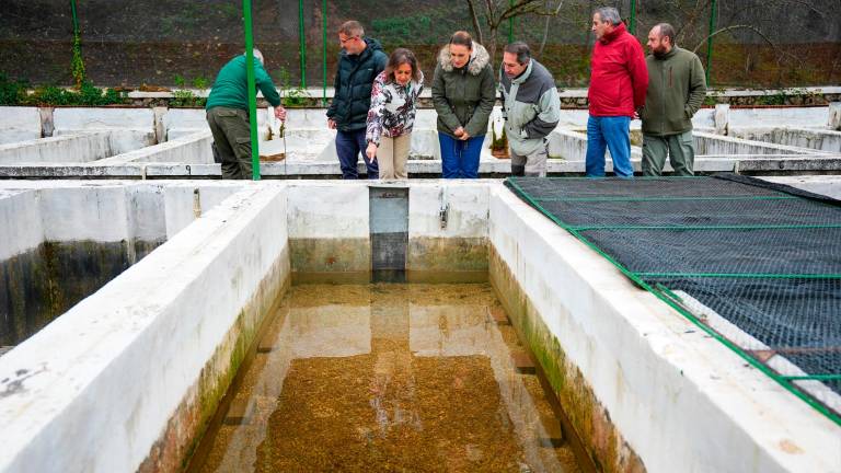 Más de 800.000 euros para luchar contra la extinción del cangrejo del Borosa