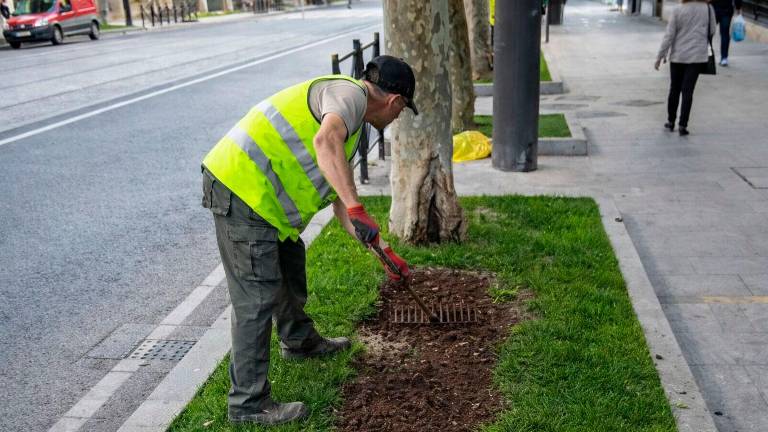Se retoma la plantación de invierno tras el paso del temporal