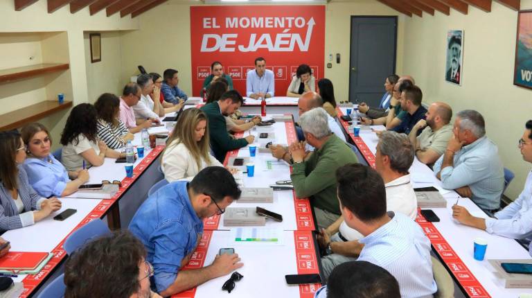 <i>Imagen de la Ejecutiva Provincial del 20 de mayo. / PSOE de Jaén.</i>