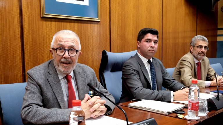 Exconsejeros dejan la comisión de la Faffe