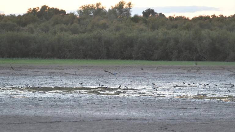 La sequía también golpea a los humedales de Jaén