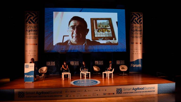 Reyes aborda en un foro europeo el papel de las diputaciones en la lucha contra la despoblación