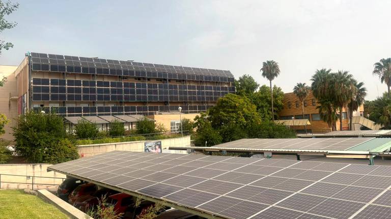 <i>Placas solares en la UJA.</i>