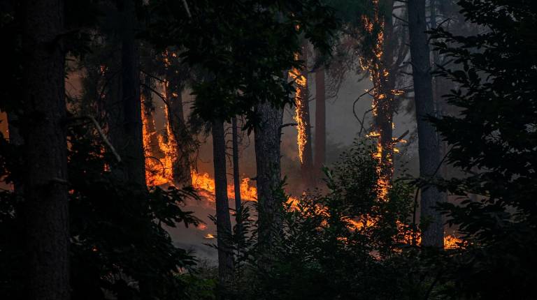 <i>Vista del incendio cerca de la Charca de la Nieta. / Gabri Solera / Europa Press.</i>