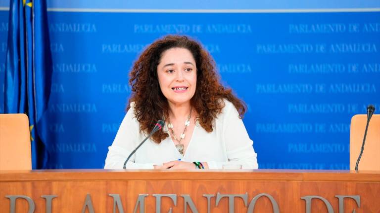 Por Andalucía pide revisar las adjudicaciones de la Junta a la empresa del exconsejero Valera