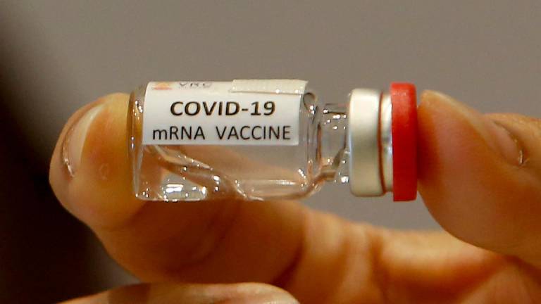 La vacuna de Moderna produce una “robusta respuesta inmune” en un estudio en primates