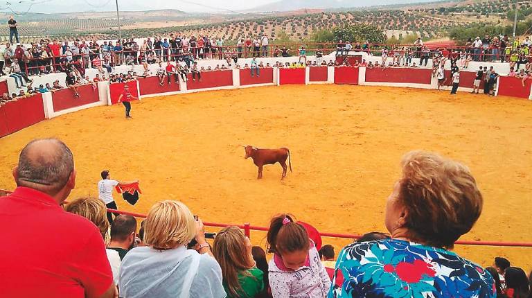DIVERSIÓN. <i>Los vecinos de Génave pudieron disfrutar de un buen ambiente musical y del primer encierro a cargo del Ayuntamiento que tuvo la suelta de dos vacas y un toro. El público asistente disfrutó en la plaza de toros cuando llegaron las reses bravas.</i>