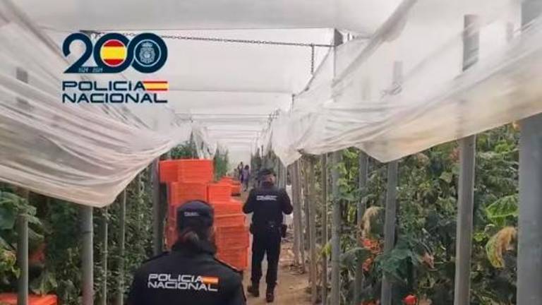 Detenidos dos empresarios agrícolas en El Ejido (Almería) por explotación laboral de migrantes