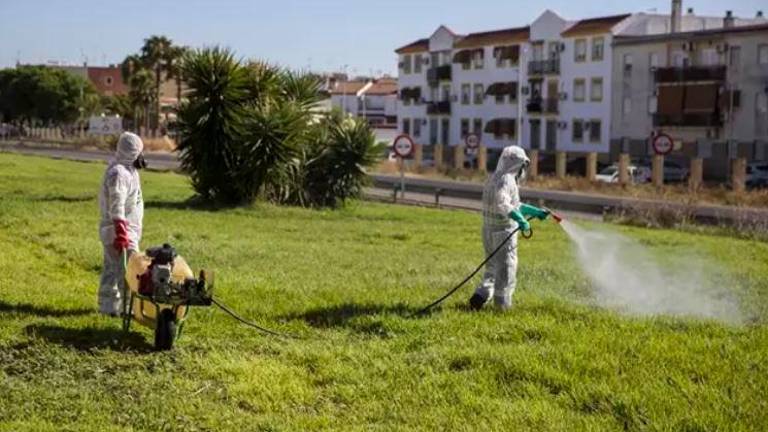 Ascienden a 39 los casos sospechosos de tener virus del Nilo en Sevilla, con 23 hospitalizados, ocho en UCI