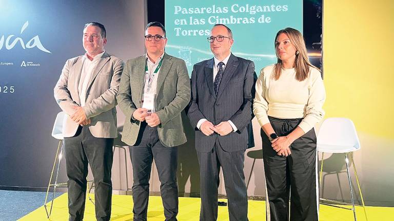 ¿Cómo serán las Pasarelas Colgantes de Torres?