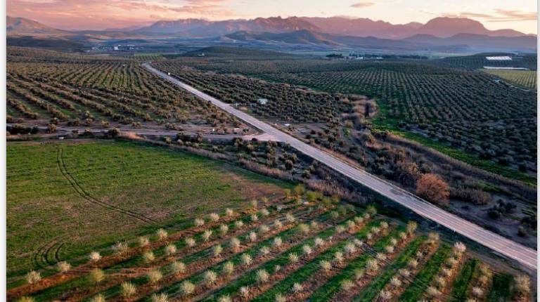 <i>Imagen ganadora IV Premio Fotografía Paisaje Jiennense IEG. / Diputación de Jaén. </i>