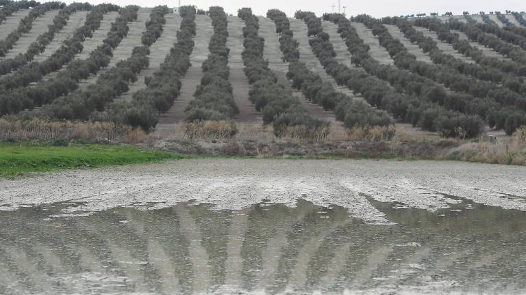 La lluvia encharca los primeros días de la campaña de recogida