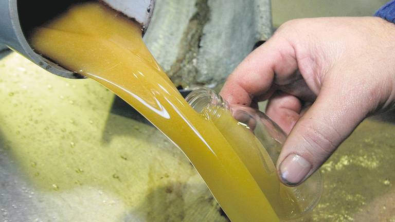 El arancel americano hace estragos en el aceite de oliva
