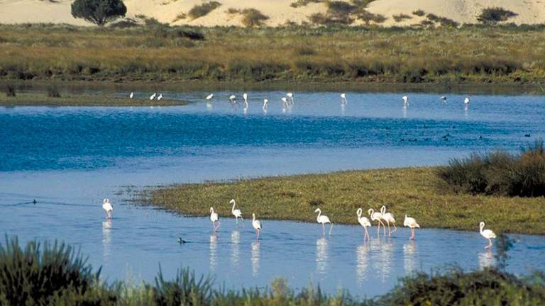 La ministra Ribera ve muy difícil construir un megaresort frente a Doñana