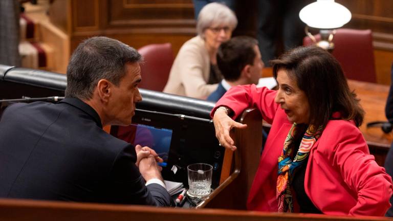 Los socios del PSOE rechazan incrementar el gasto en Defensa pese a los avisos de expertos del riesgo de no hacerlo