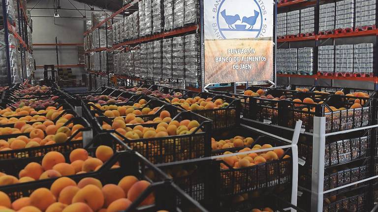 El Banco de Alimentos quiere recoger 70.000 kilos