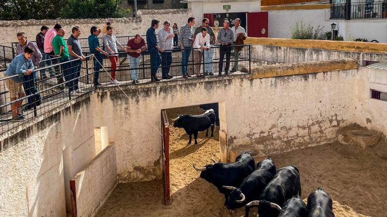 Jaén cierra el fin de semana taurino con una corrida de rejones