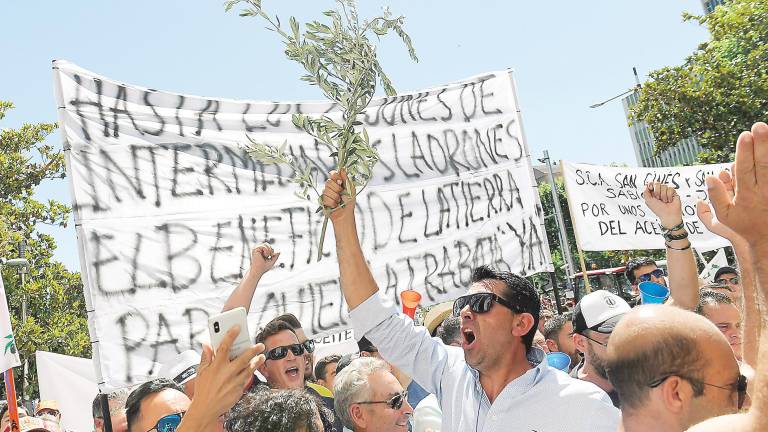 A Madrid en defensa del olivar