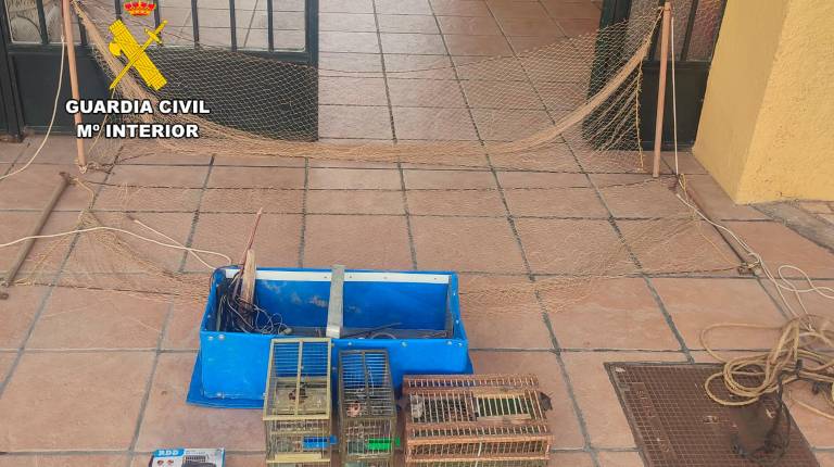 <i>Aves fringílidas rescatadas en Jaén por la Guardia Civil. / Guardia Civil. </i>