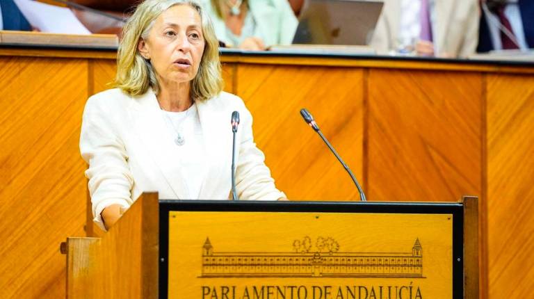 <i>Rocío Hernández en el Parlamento de Andalucía.</i>