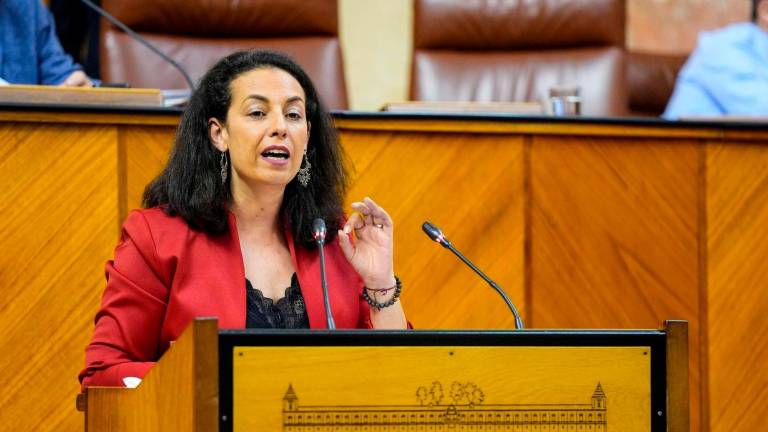 El PSOE critica que la Junta convoque el Plan Corresponsables “en pleno agosto”