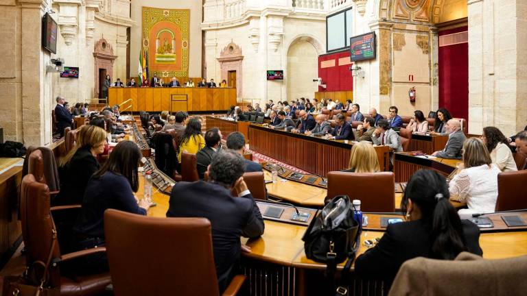 La Junta abordará esta semana asuntos relativos al temporal y a la dependencia