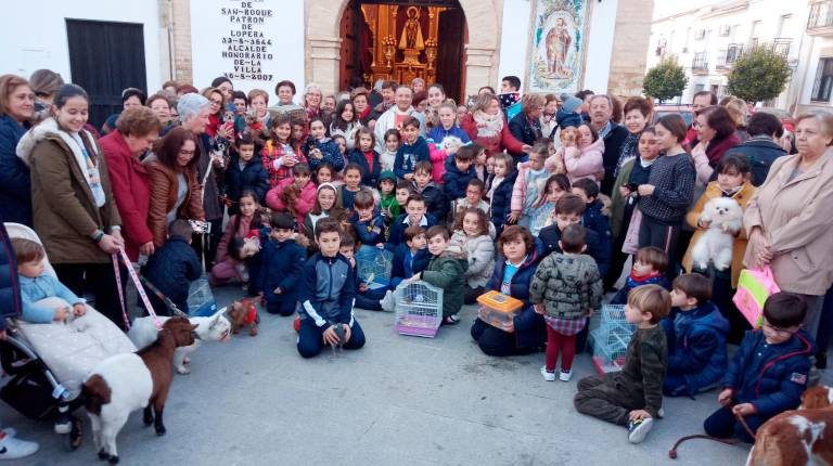Bendición de los animales