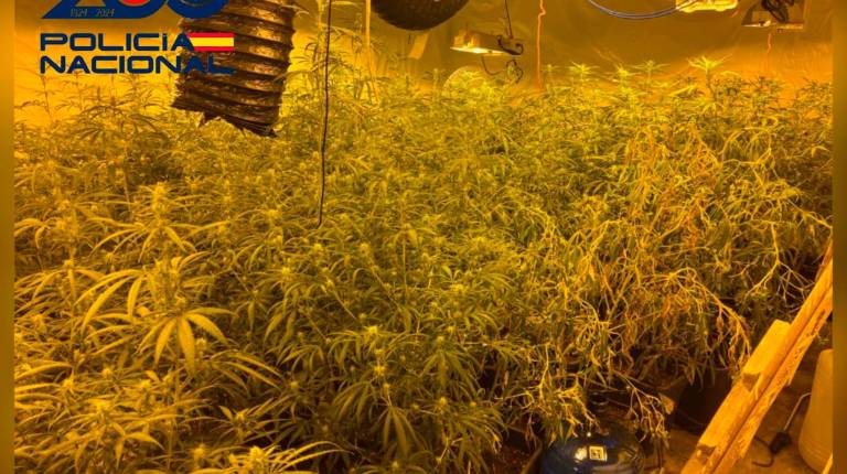 <i>Plantación “indoor” de marihuana oculta en el sótano de una vivienda. / Policía Nacional de Jaén.</i>