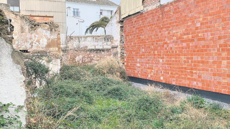 Quejas por la presencia de ratas en la calle Capuchinos