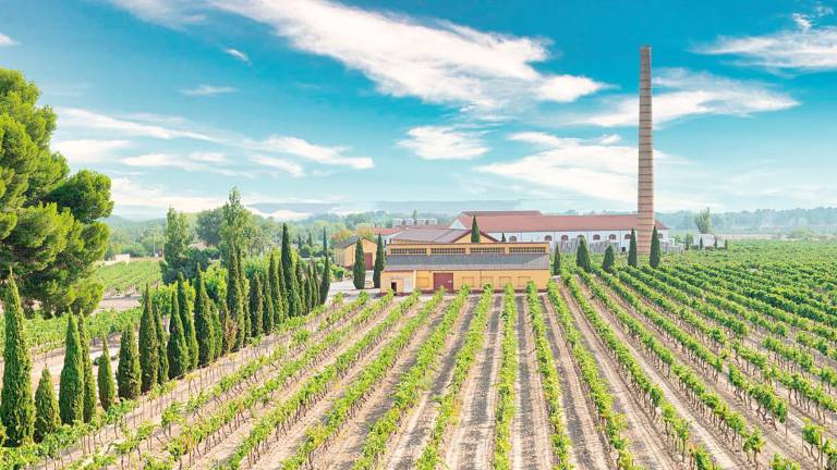 Campoameno se expande hacia La Rioja y La Mancha