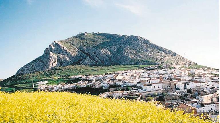 Ordenanzas fiscales para reactivar el centro histórico