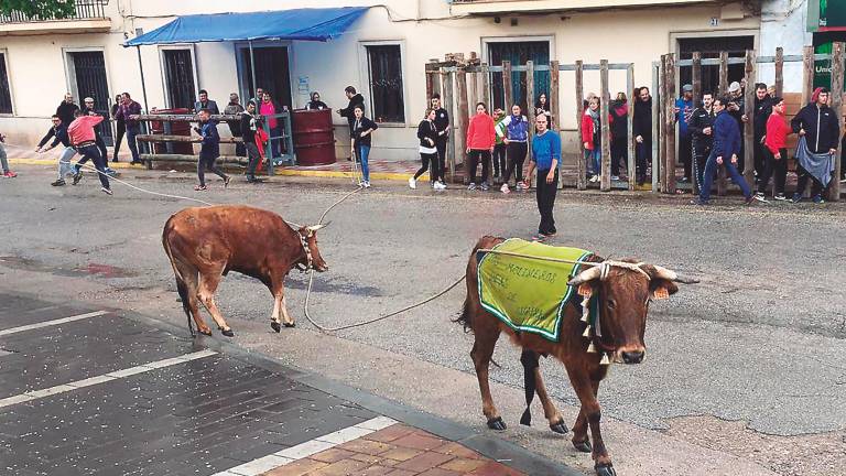 Los trámites para los festejos taurinos en Beas se aceleran