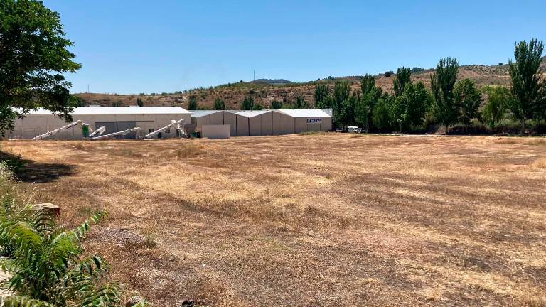 Las obras del polígono Los Retiros, de Huelma, comenzará en octubre