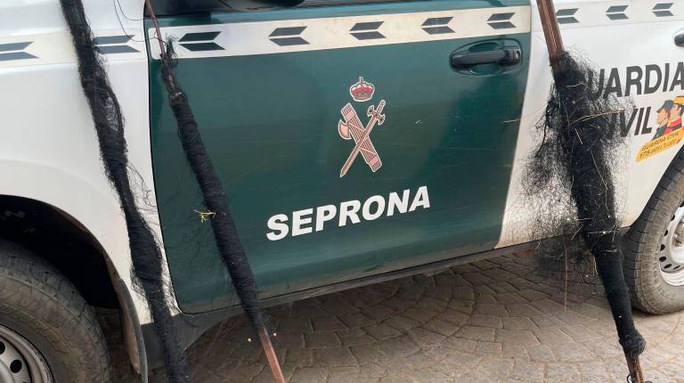 <i>Vehículo del dispositivo Seprona de la Guardia Civil. / Guardia Civil.</i>