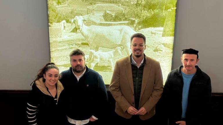 Renovación de la Casa-Museo Cerdá y Rico de Cabra del Santo Cristo