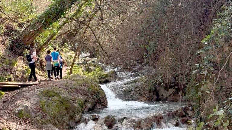 Un estudio de la UJA revela la brecha entre conciencia ambiental y comportamiento real