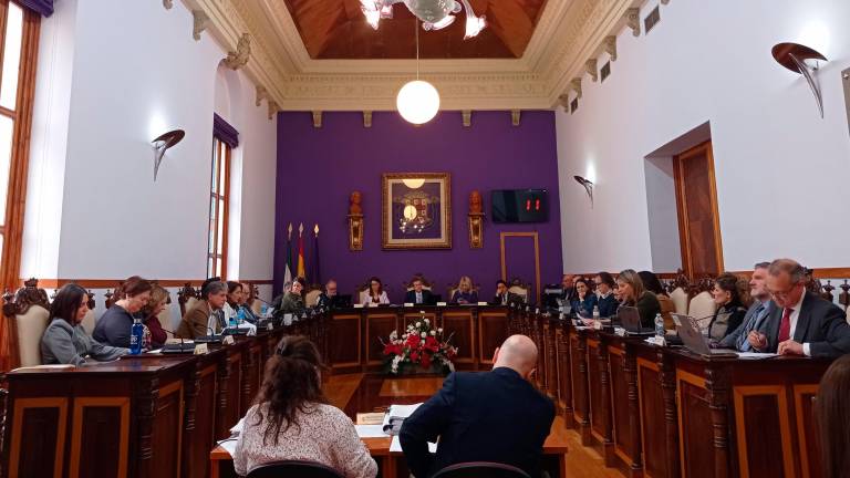 El pleno eleva al Estado la petición de cesión del solar del Museo Íbero para construir un parque y un aparcamiento