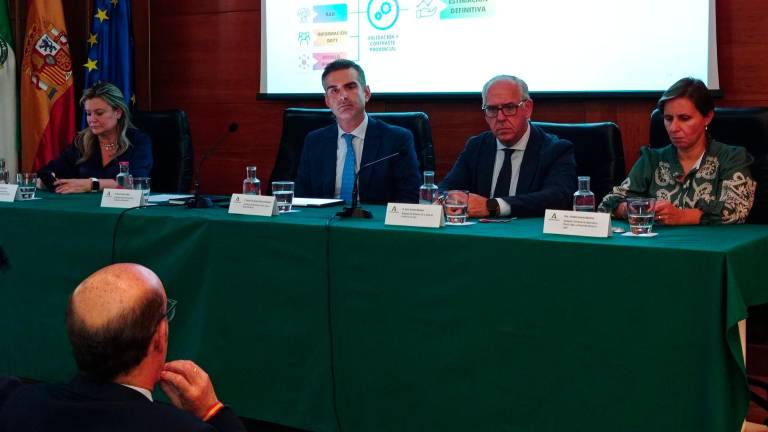 La producción de aceite de oliva crecerá un 66%, según previsiones
