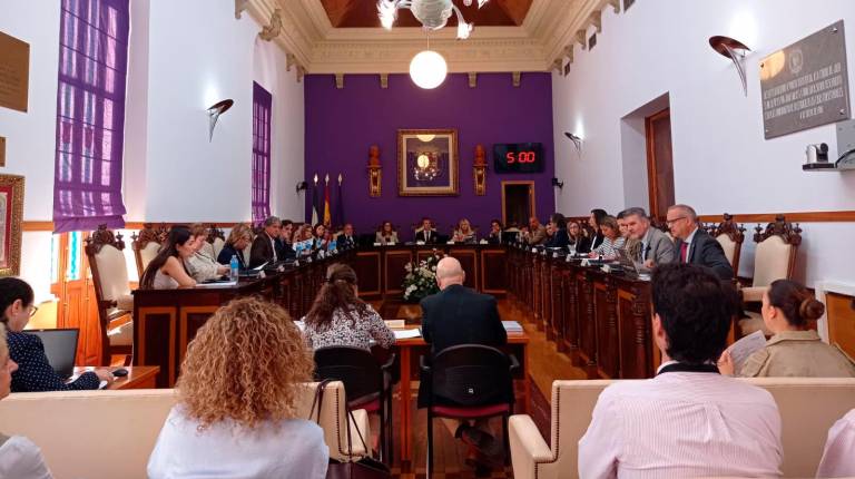 <i>Sesión plenaria de hoy. / Fran Miranda / Diario JAÉN.</i>