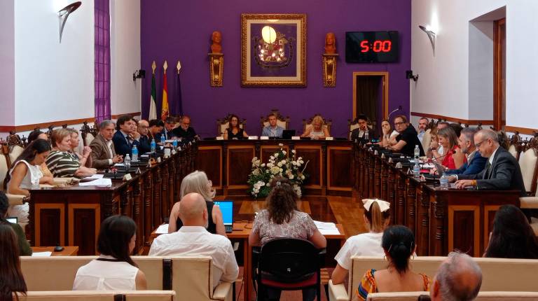 <i>Imagen del pleno celebrado hoy, viernes. / Fran Miranda / Diario JAÉN.</i>