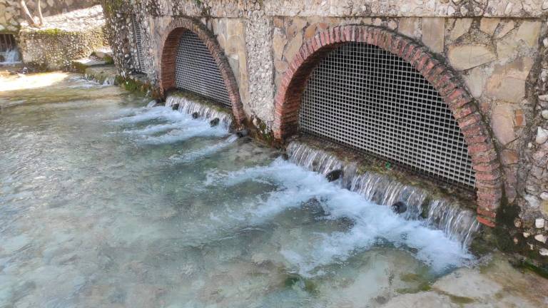 El agua brota en gran cantidad en los caños del nacimiento del río Frío