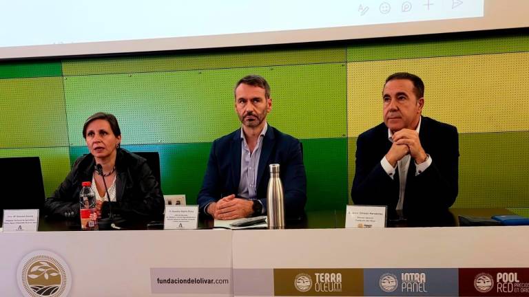 Más de 50 expertos abordan la armonización de paneles de cata de aceite de oliva en Mengíbar