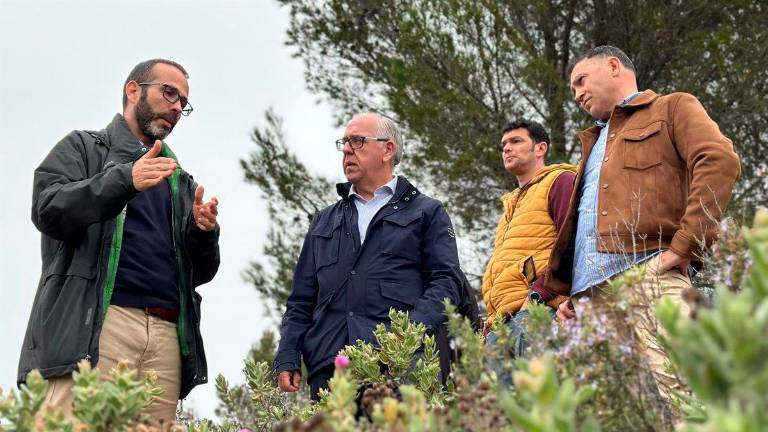 2,7 millones para labores preventivas contra incendios en las sierras de Jaén